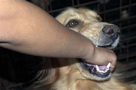 ԼҵĹͱѪô(ȴҽƣԤʩ)