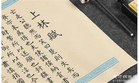 上林赋为什么写给心上人 表示对感情很认真(抄写难度高)