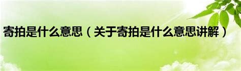 寄拍是什么意思(寄拍是指什么)