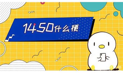 1450是什么意思,两种意思(爱情甜语你是我的/网络水军)