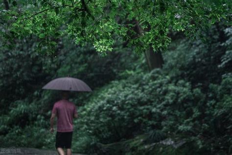 梅雨期是什么时候 2020入梅和出梅时间