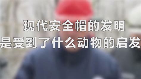 安全帽的发明受到了什么动物的启发