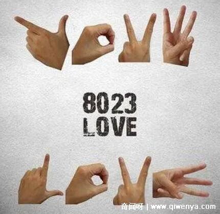8023数字代表的爱情含义图片,love/不接受8023不能查感情史