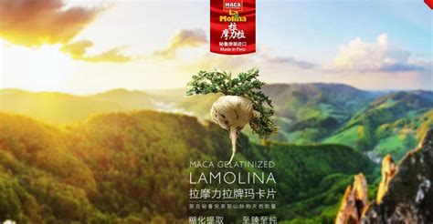 拉摩力玛卡:探索神秘的珍贵植物