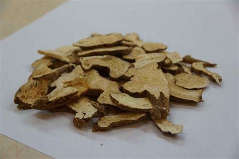 白术粉:功效、用途及注意事项详解