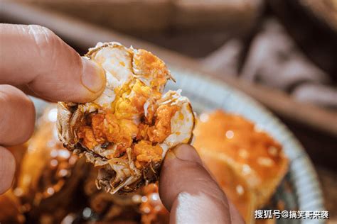 买螃蟹时,挑公蟹、母蟹还是姑娘蟹?口感差别大,学会别挑错了