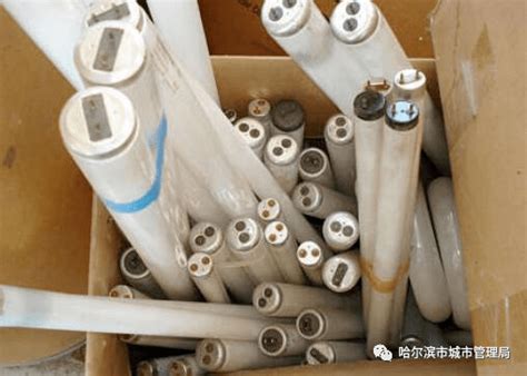 �Ͼ�ӫ��ƹ�����ʲô���� �к�