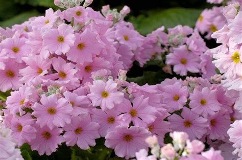 ��ӣ�ݻ�����ʲô��������ת˲��