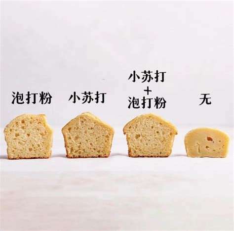 �ݴ�ۺͽ�ĸ��������������(