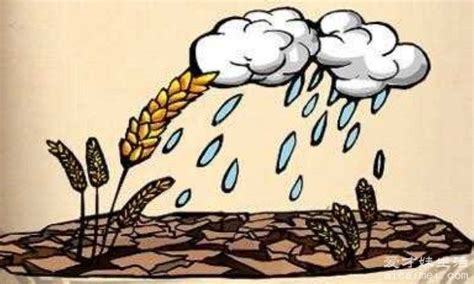 �ú����¶����˼���ɺ��ܾ�֮��ͻȻ������һ������